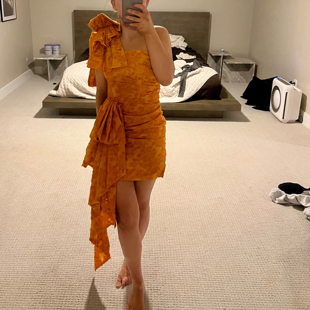 Atoir dress new with tags